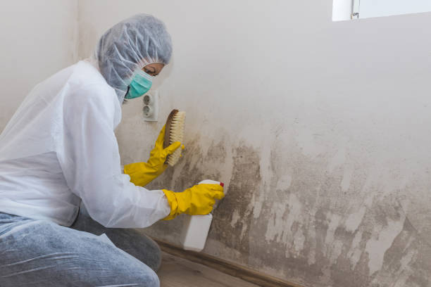Best Mold Testing  in Riverside, UT