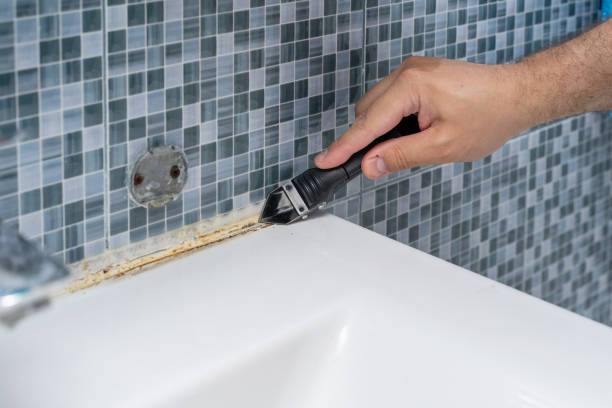 Best Best Mold Removal Companies  in Riverside, UT