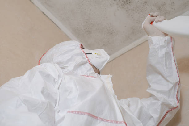Best Toxic Mold Removal  in Riverside, UT