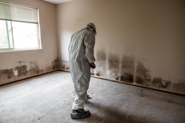 Best Mold Testing  in Riverside, UT